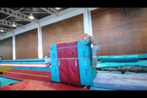 Damien Walters The Official Parkour Master – 2013